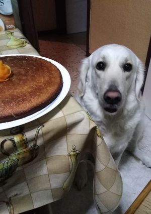 Foto principal de Mi Tarta de naranja con ayudante