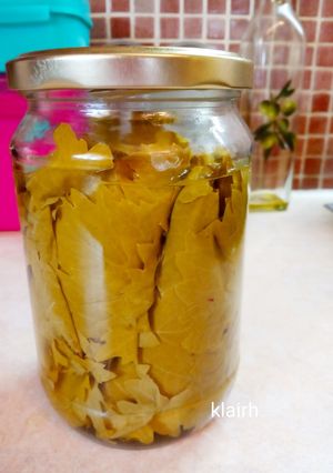 Φωτογραφία της συνταγής Αμπελόφυλλα σε βάζο