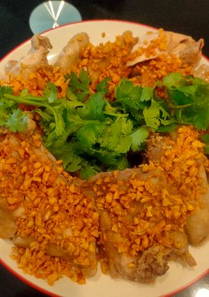 Foto resep Ayam Rebus