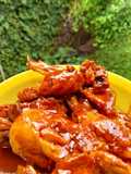 Ayam kecap glowing meresap