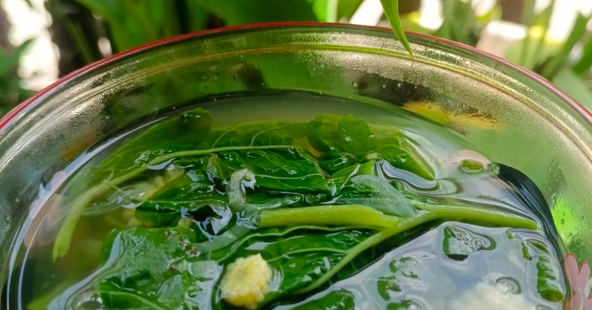 Sayur Bayam Segar