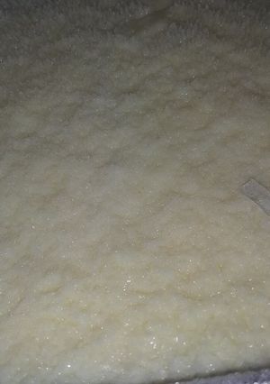 વેનીલા આઈસક્રીમ(Vanilla ice cream Recipe in Gujarati) રેસીપી મુખ્ય ફોટો