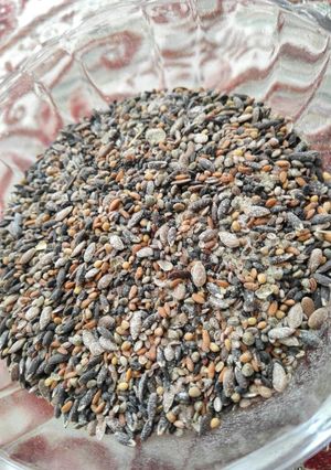 عکسی از دستور 12 تخمه بی نظیر