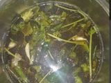 ஆந்திரா ரசம்(andhra rasam recipe in tamil)
