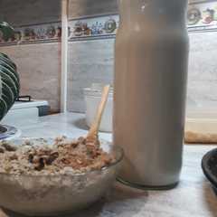 Una foto de Leche vegetal de girasol y queso untable vegano