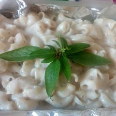 A picture of Macaroni in white sauce.