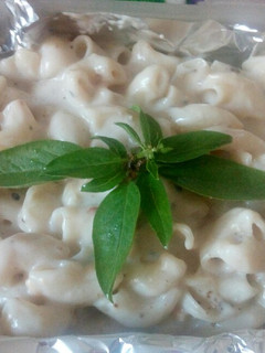 A picture of Macaroni in white sauce.