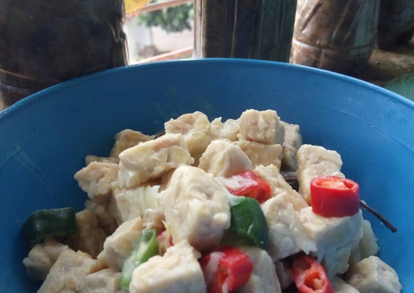 Tempe masak santan