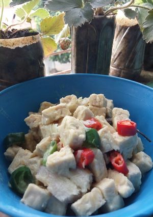 Foto resep Tempe masak santan