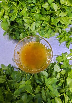 عکسی از دستور شبدر