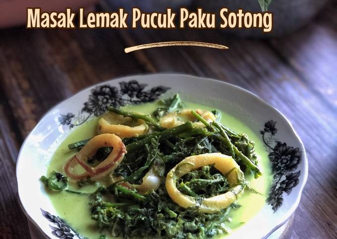 Resepi Masak Lemak Pucuk Paku Sotong Sedap 11 Bahan Resepi Populer