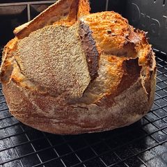 A picture of Sourdough (room temp proof).