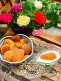 Madeleine- Bánh truyền thống kiểu Pháp