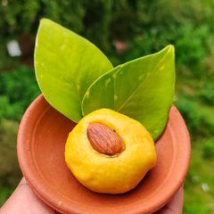 A picture of Besan ladoo.