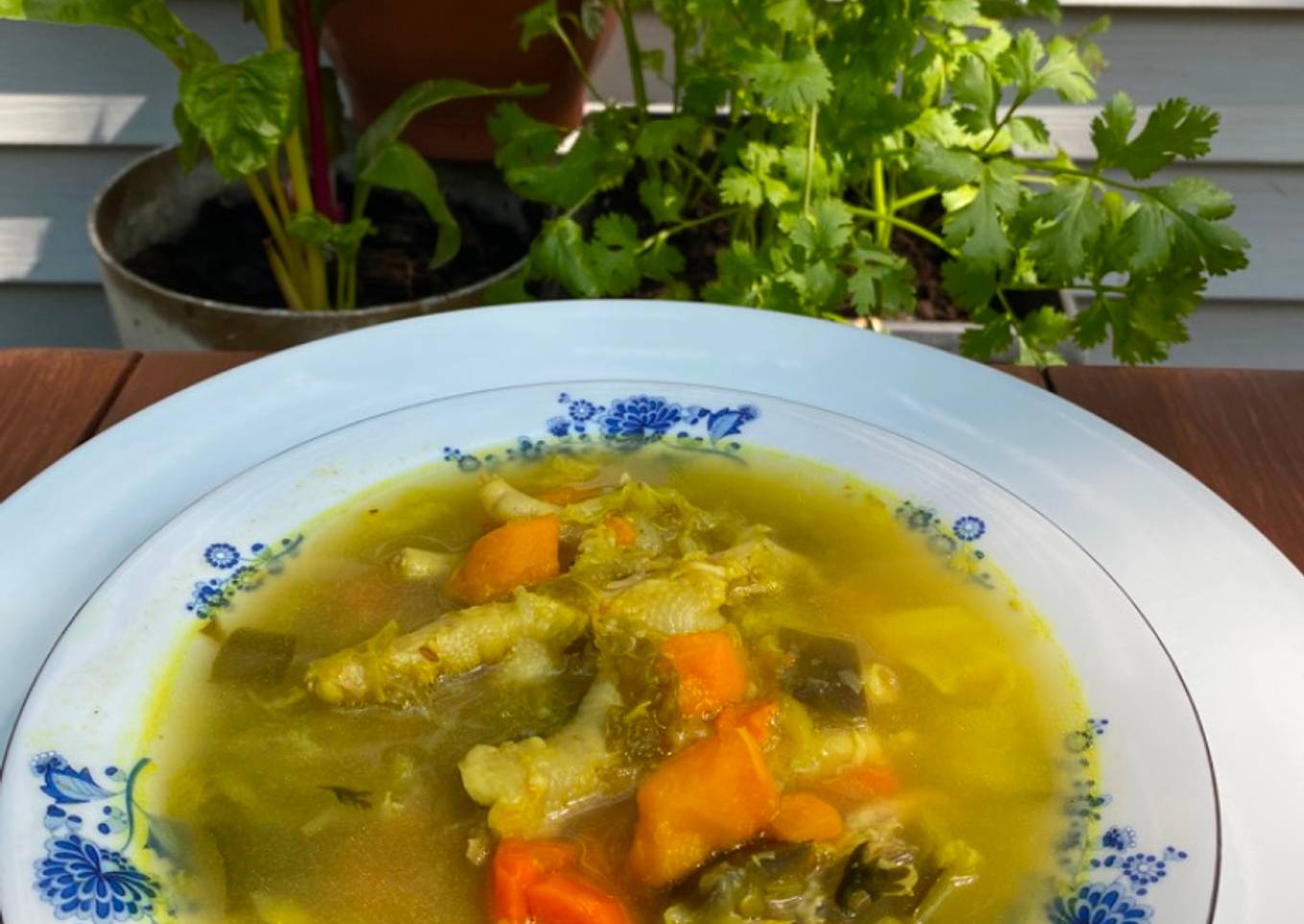 Mi sopa de pata de pollo