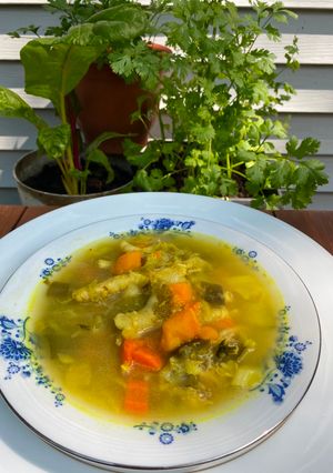 Una foto de Mi sopa de pata de pollo