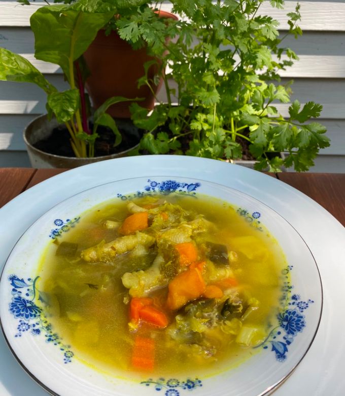 Foto principal de Mi sopa de pata de pollo