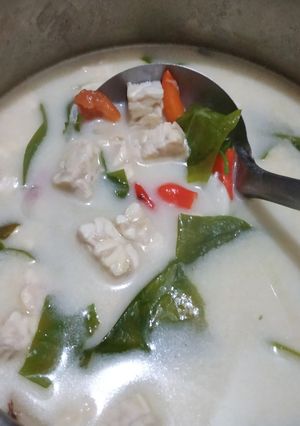 Foto resep Jangan tempe ndesa (Lodeh tempe ala desa)