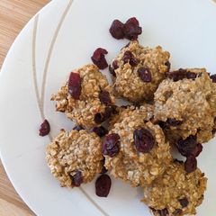 A picture of Cranberry Oat Bites.