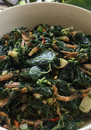 Foto resep TUMIS DAUN PEPAYA IKAN TERI (tidak pait)