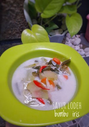 Foto resep Sayur lodeh bumbu iris