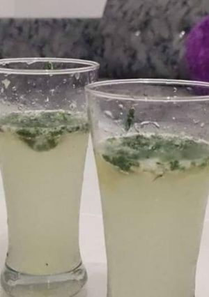 A picture of Mojito.