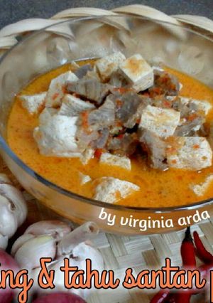 Foto resep Daging dan Tahu Santan Pedas