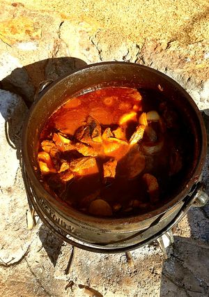 A picture of Tomato beef potjiekos.
