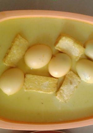 Foto resep Terik Tahu dan Telur