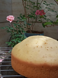 عکسی از دستور 🥧کیک پایه وانیلی پنبه ای بدون فر 🥧