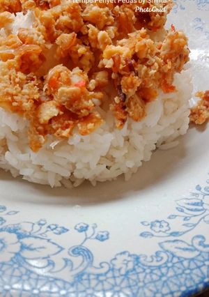 Foto resep Tempe Penyet Pedas Gurih by Shinta
