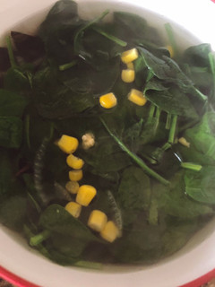 Foto resep Sayur bening bayam jagung