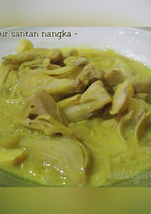 Foto resep Sayur nangka (becek nangka)