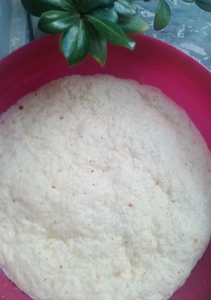A picture of Pizza dough.
