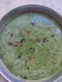 வெற்றிலை சட்னி (Vetrilai chutney recipe in tamil) செய்முறை முக்கிய புகைப்படம்