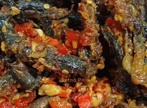 Foto resep Sambal Belut Goreng