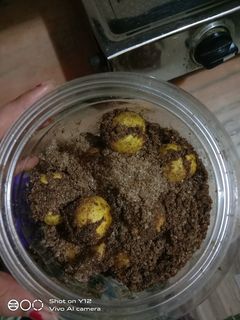 निम्बू अचार (Nimbu achar recipe in hindi) रेसिपी मुख्य फोटो