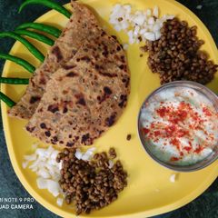 A picture of Moong paratha.