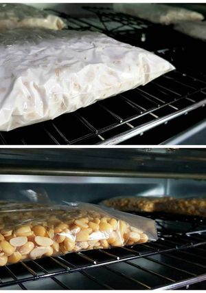 Foto resep Tempe