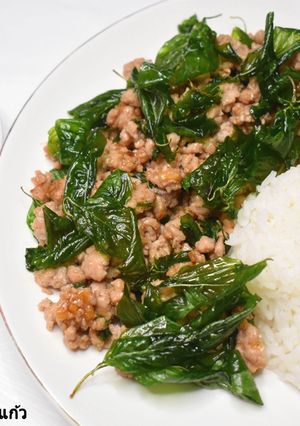 รูปของ หมูสับผัดกระเทียมพริกไทยใบโหระพากรอบ