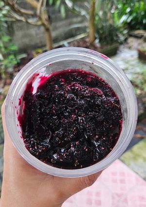 Foto resep Selai Murbei