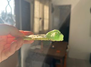 Una foto de Dip de albahaca, cilantro y ciboulette a base de queso crema