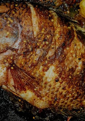 A picture of Grilled fish.