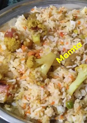 A picture of Veg Biryani.