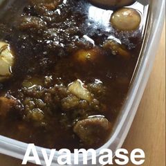 Ayamase sauce A picture of Ayamase sauce.