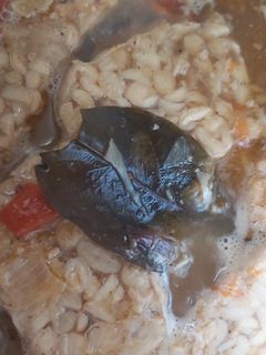 Foto resep Tempe Kecap