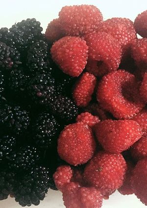 A picture of Berry-ing your ex.
