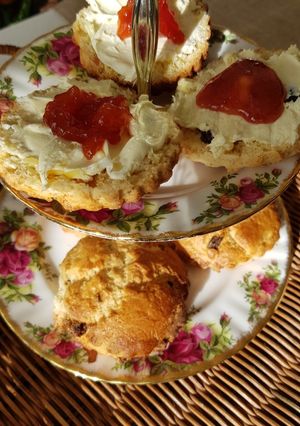 A picture of Sultana Scones.