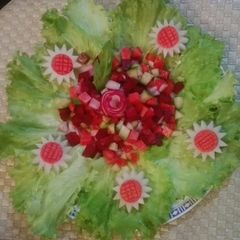 A picture of Raw diet salad.