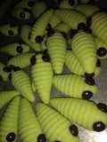 Kue ulat bulu(caterpillar)